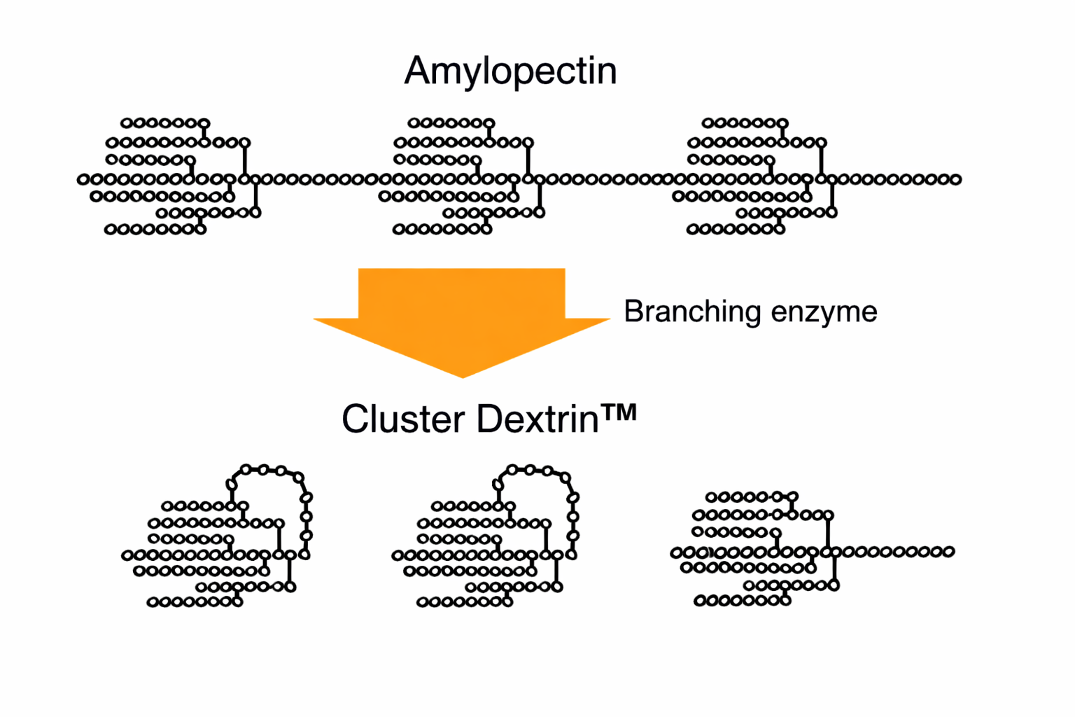Schéma struktury Cluster Dextrin